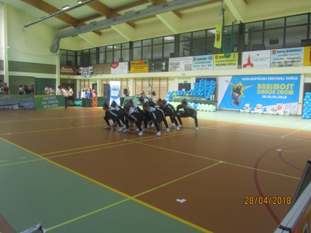 turta 278
